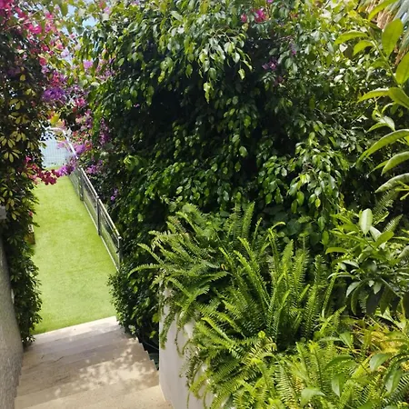 Condesa Del Mar Adults Only Apart-hotel