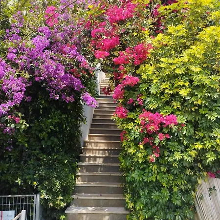 Condesa Del Mar Adults Only Aparthotel Altea